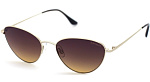 FIENO P01